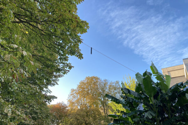 Jardin des Arts in Saint-Germain-en-Laye - HUB CRISTAL