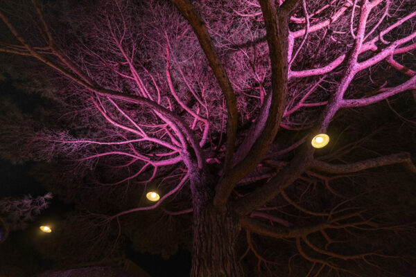 HUB SHADE in Arcachon